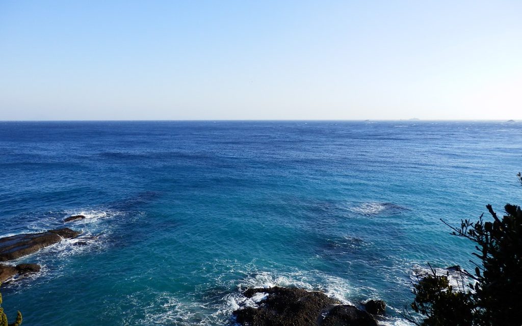 The coast of the Izu peninsula